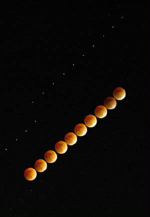 lunar_eclipse_copy.jpg